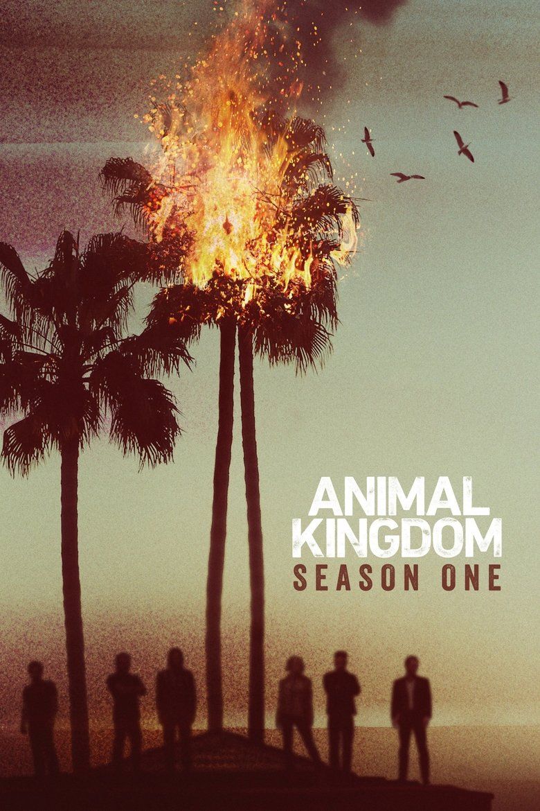 Animal Kingdom S01