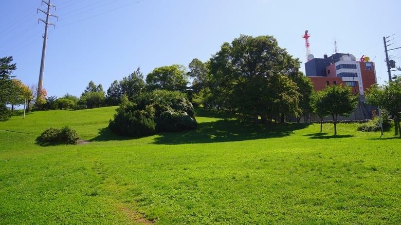 How Do You Like Wednesday? S28