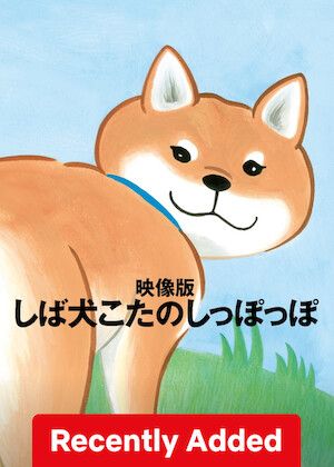 Shiba Inu KOTA’s Waggly Tail S01