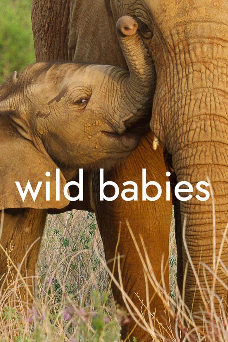 Wild Babies S01