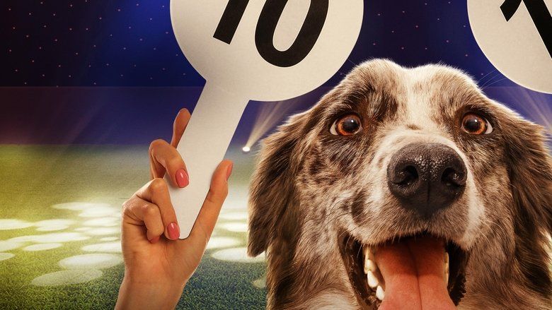 The Secret Life of Dancing Dogs S01