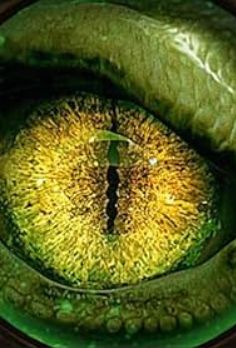 MonsterQuest: Chasing Bigfoot S01