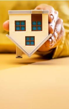 Bid, Build, Design S01