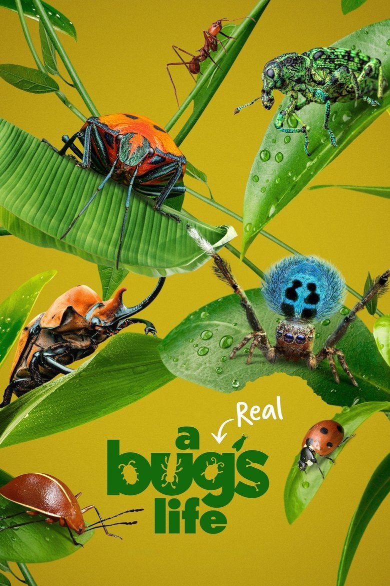 A Real Bug's Life S01
