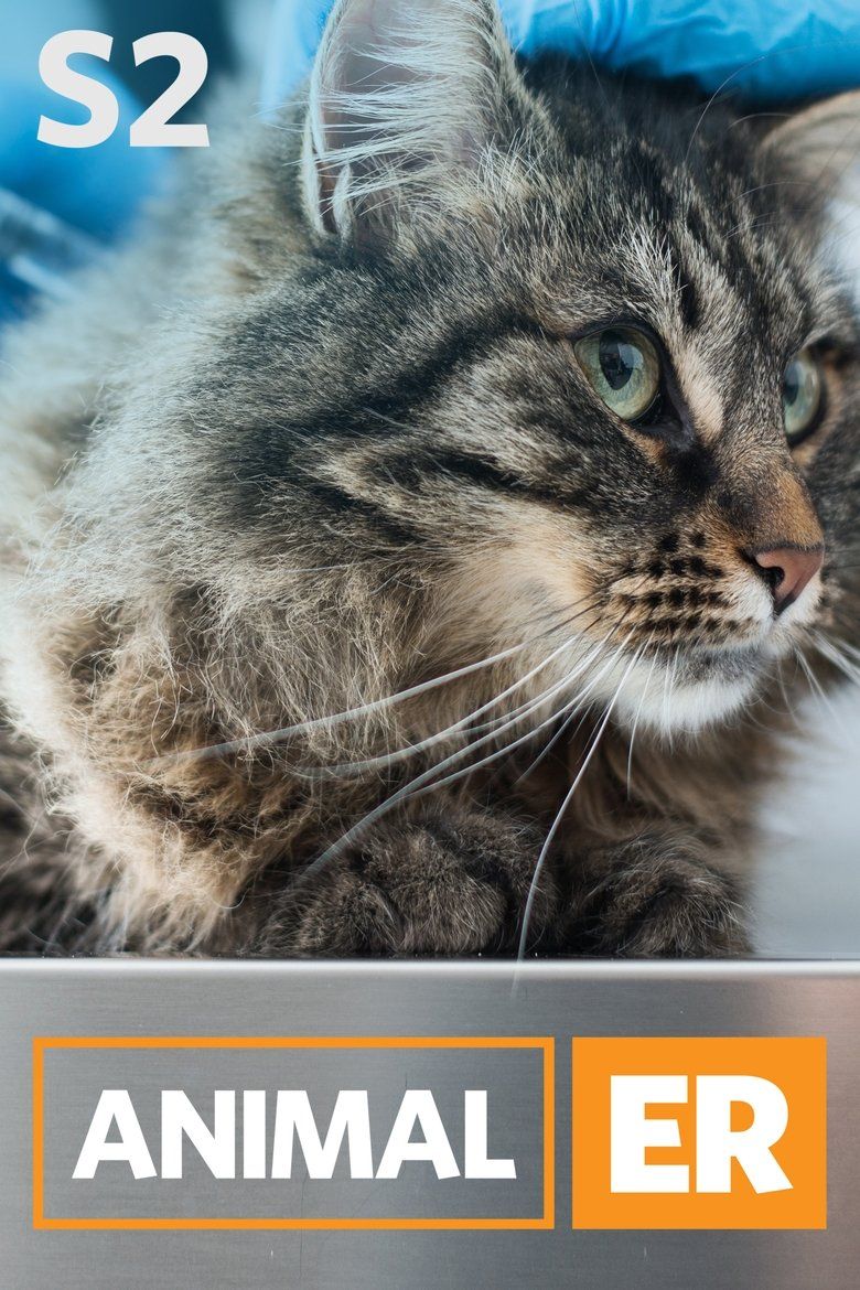 Animal ER S02
