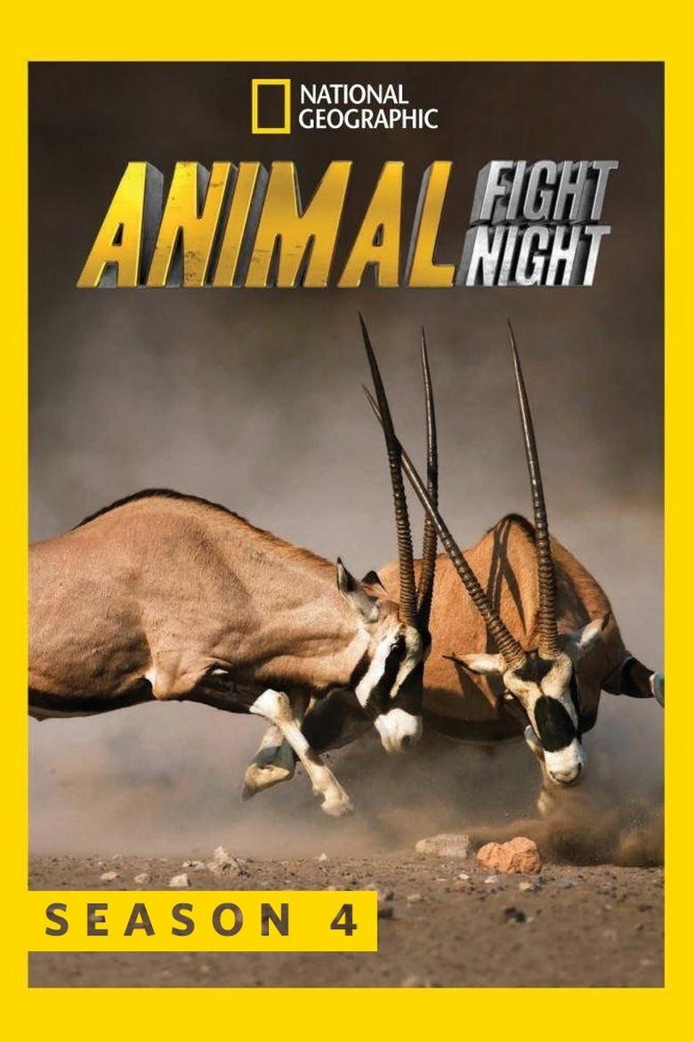Animal Fight Night S04