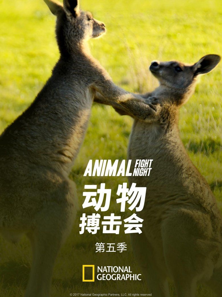 Animal Fight Night S05