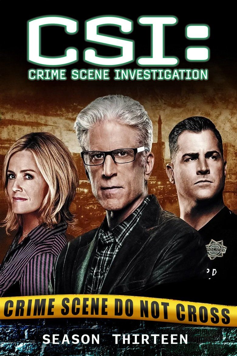 CSI: Crime Scene Investigation S13