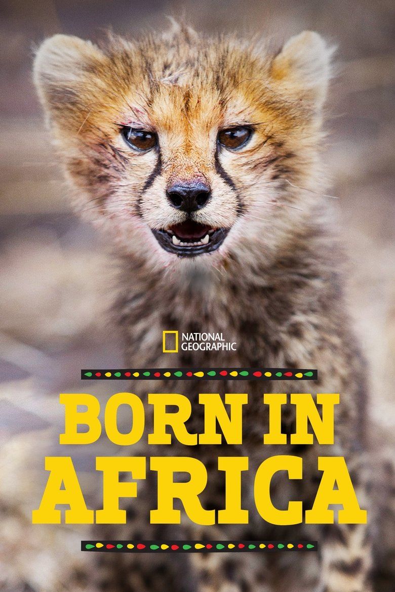 Born In Africa S01