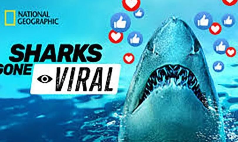 Sharks Gone Viral S01