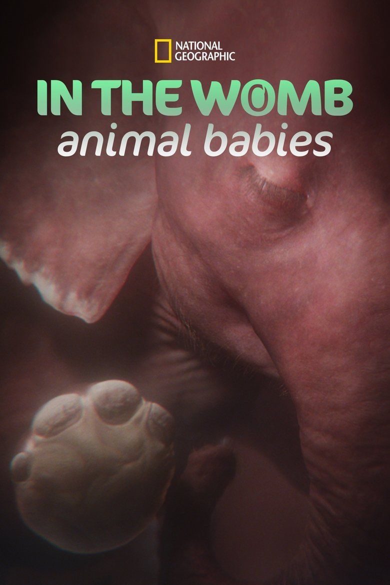 In the Womb: Animal Babies S01