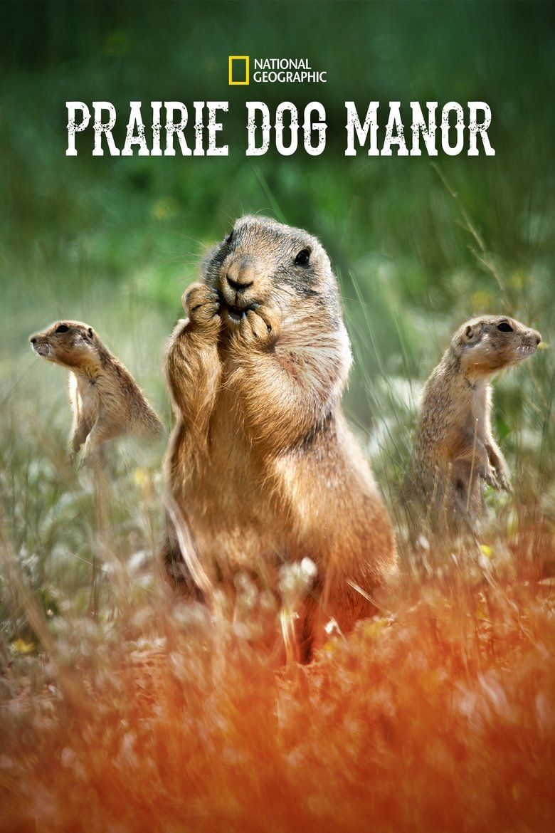 Prairie Dog Manor S01