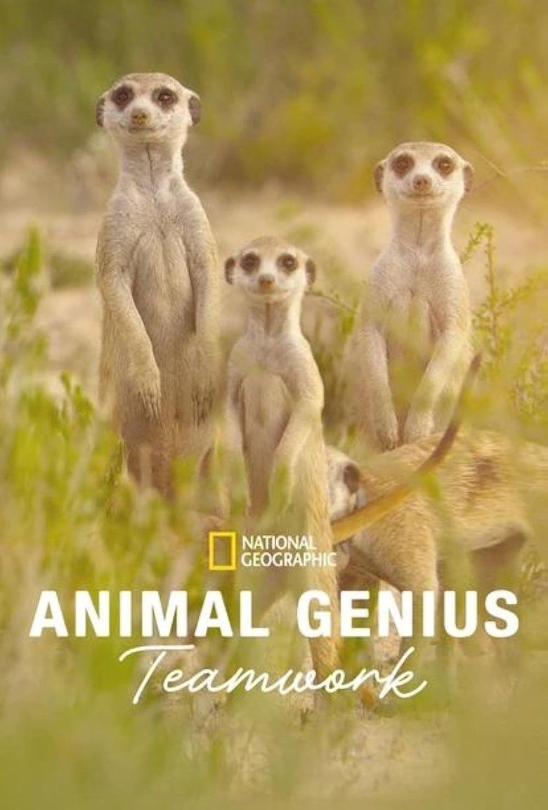Animal Genius S01