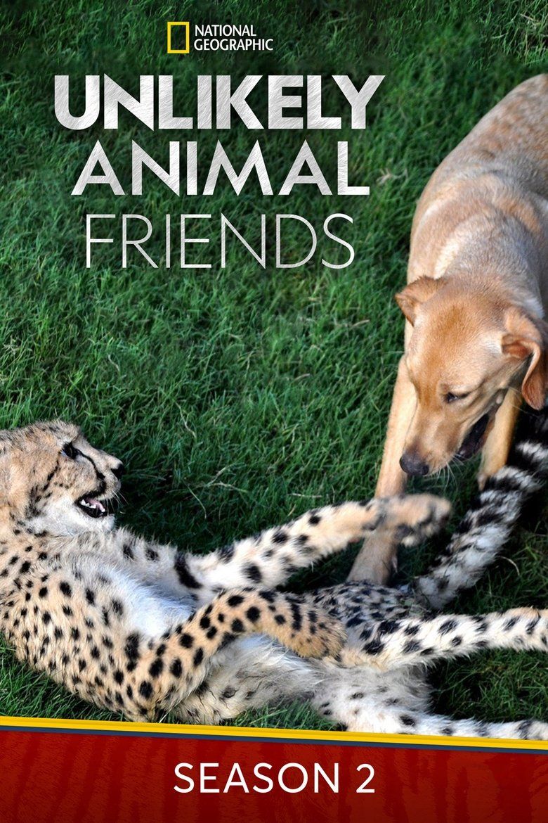 Unlikely Animal Friends S02