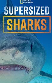 Supersized Sharks S01