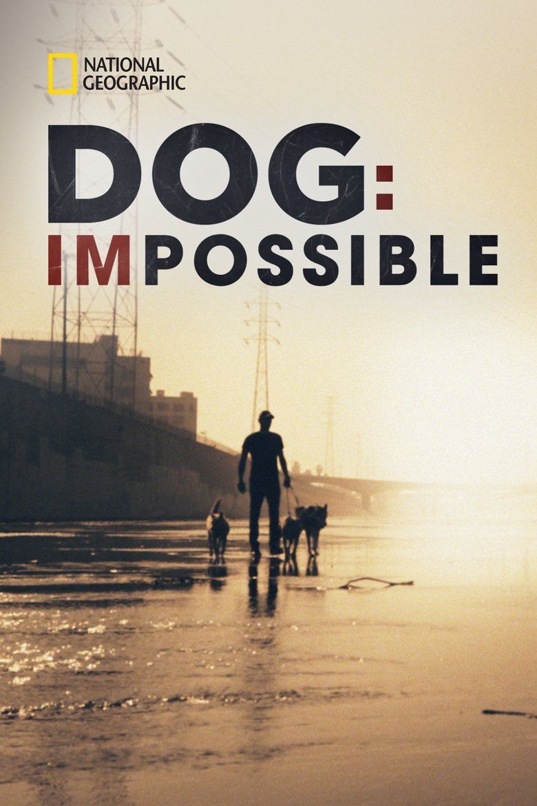 Dog: Impossible S01