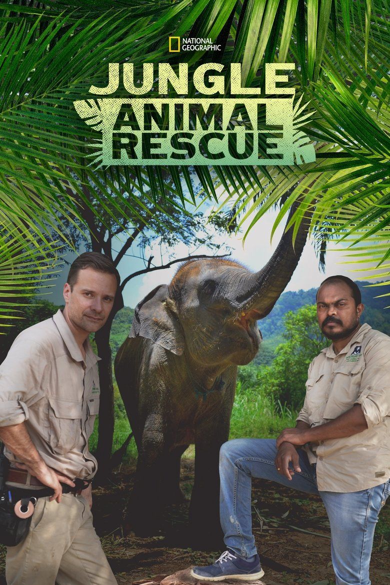 Jungle Animal Rescue S01