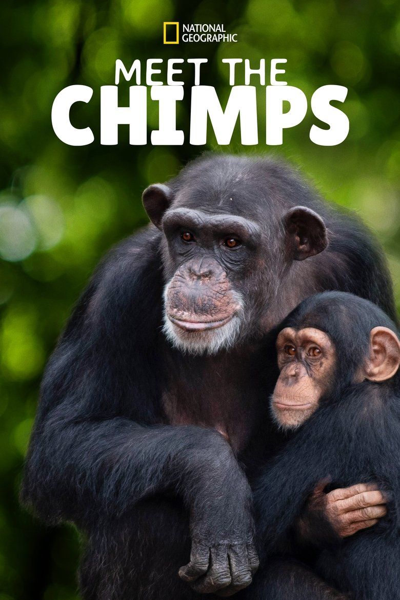 Meet The Chimps S01