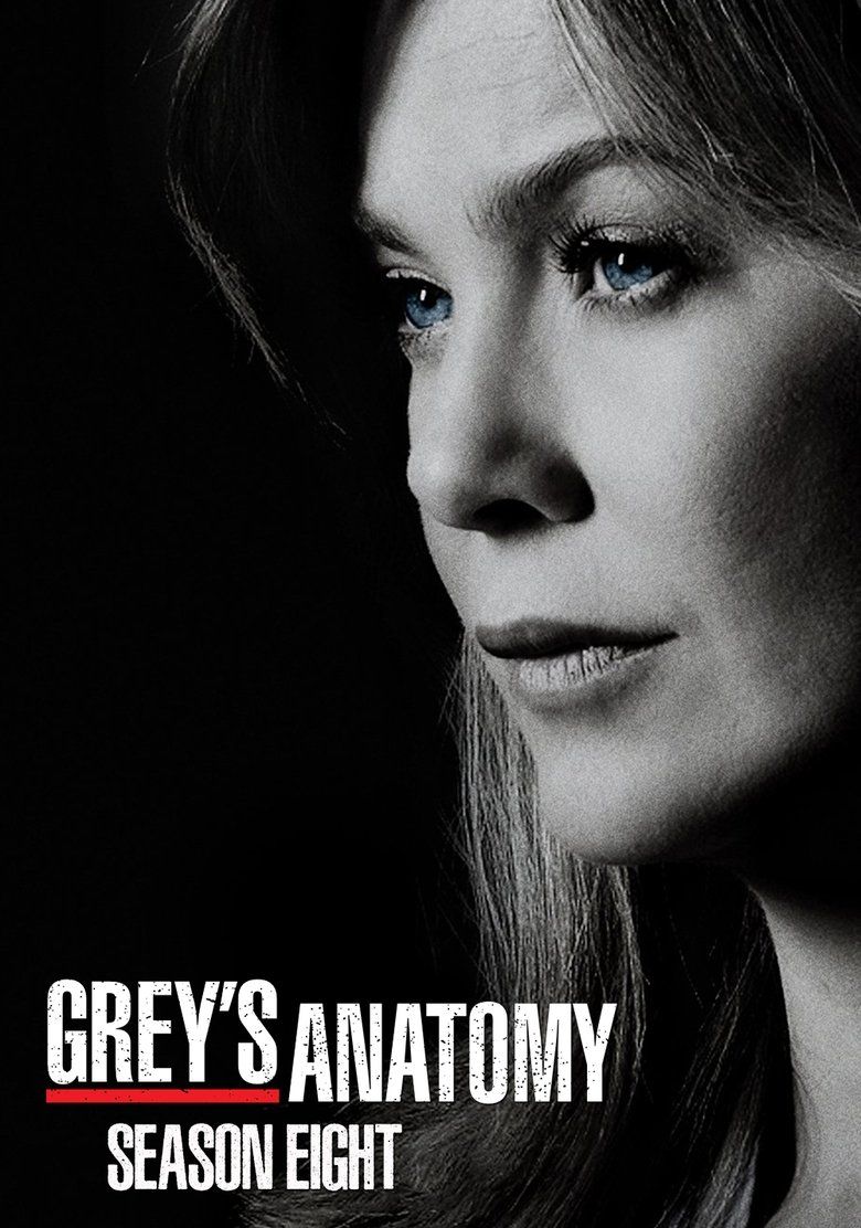 Grey's Anatomy S08