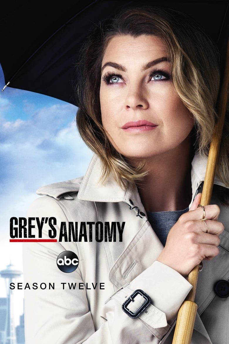 Grey's Anatomy S12