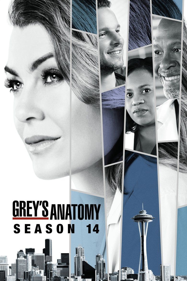Grey's Anatomy S14