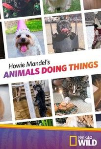 Howie Mandel's Animals Doing Things S01