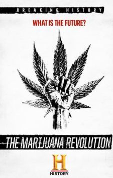The Marijuana Revolution S01