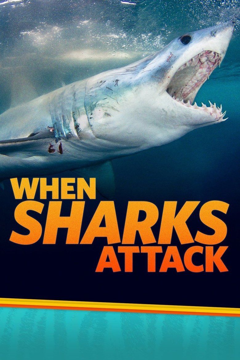 When Sharks Attack S04