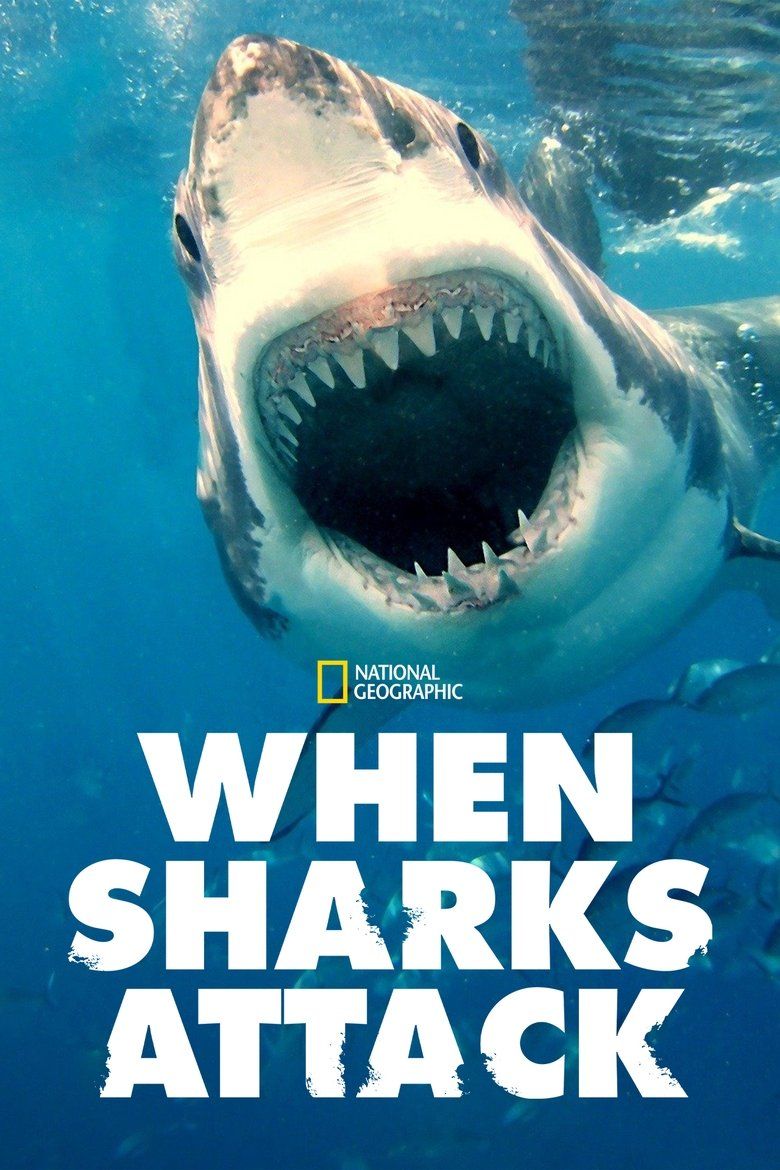 When Sharks Attack S05