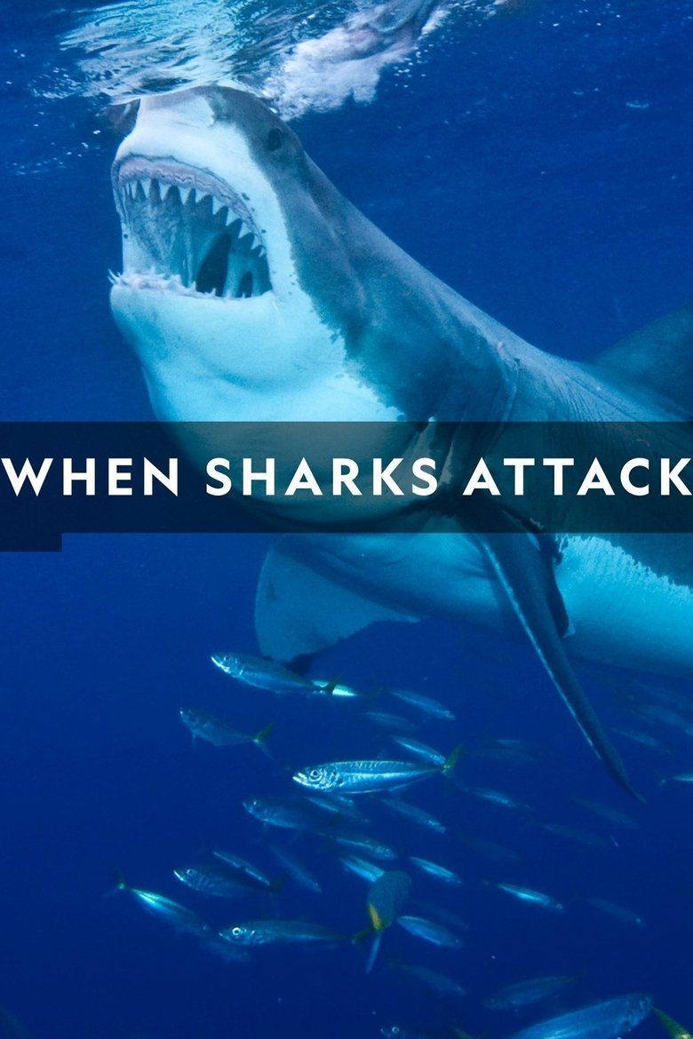 When Sharks Attack S06