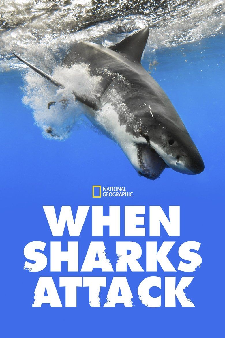 When Sharks Attack S07