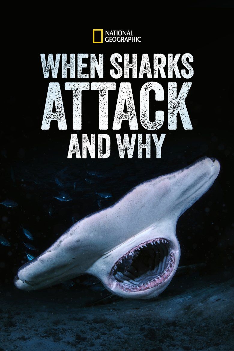 When Sharks Attack... and Why S01