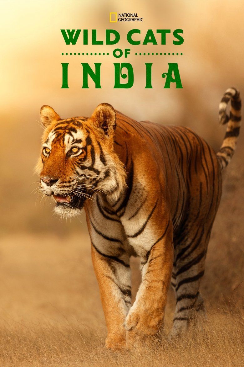 Wild Cats of India S01