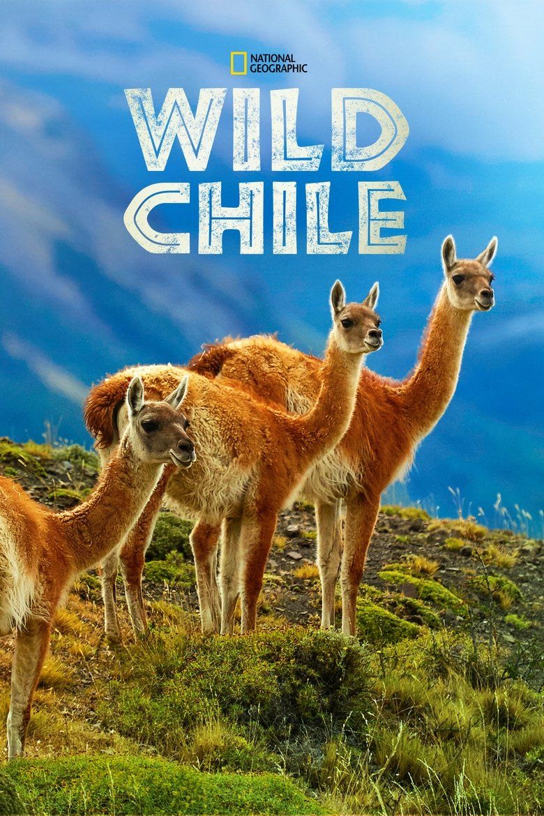 Wild Chile S01