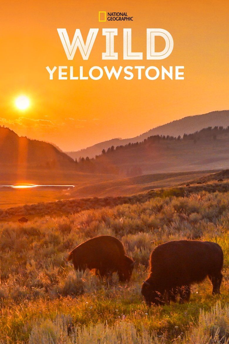 Wild Yellowstone S01