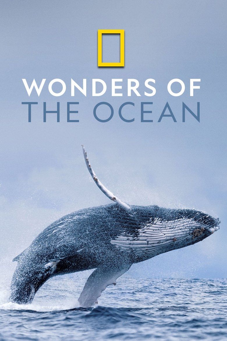 Wonders of the Ocean S01