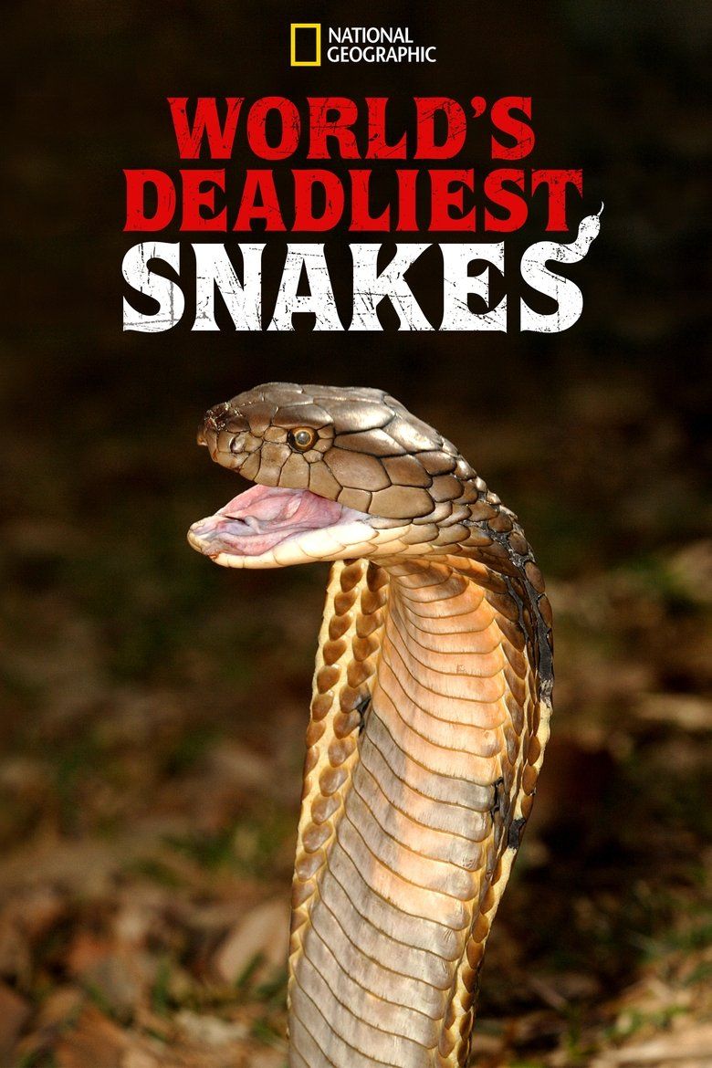 World's Deadliest Snakes S01
