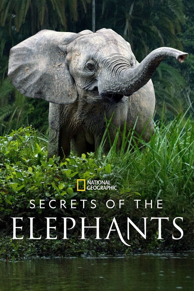 Secrets of the Elephants S01