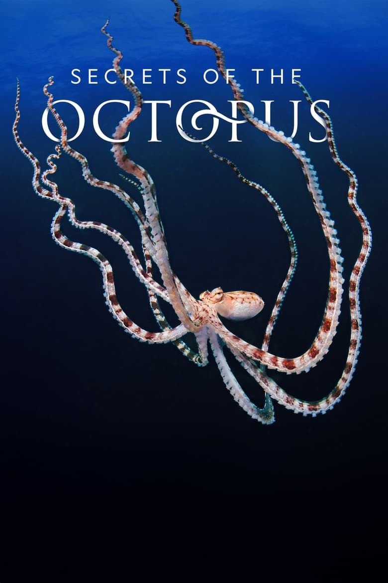 Secrets of the Octopus S01
