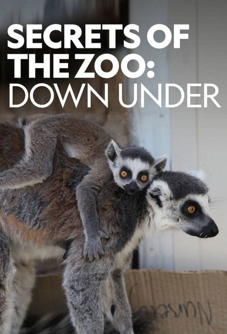 Secrets of the Zoo: Down Under S03