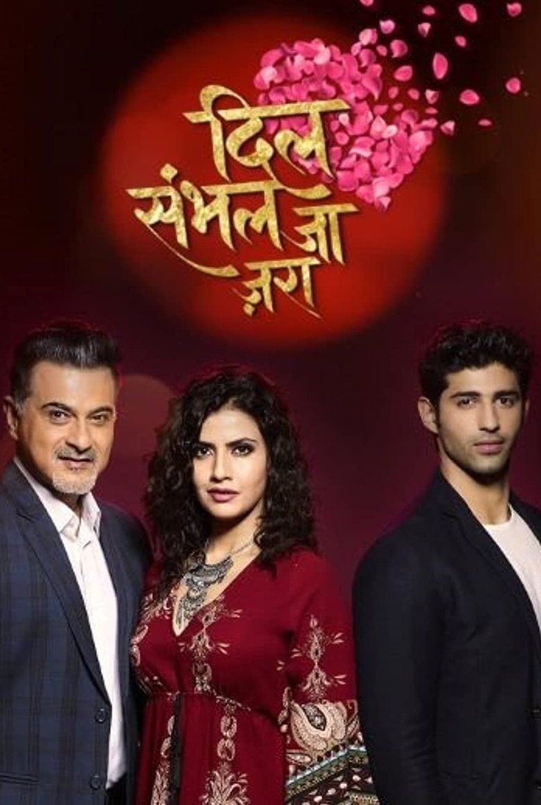 Dil Sambhal Jaa Zara (Hindi) S02