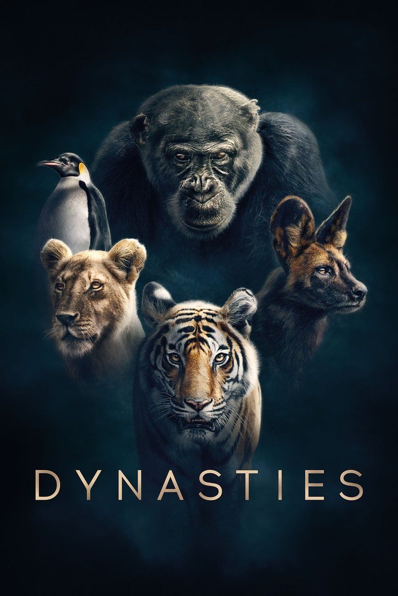 Dynasties S01