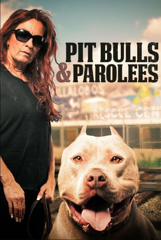 Pit Bulls & Parolees S10