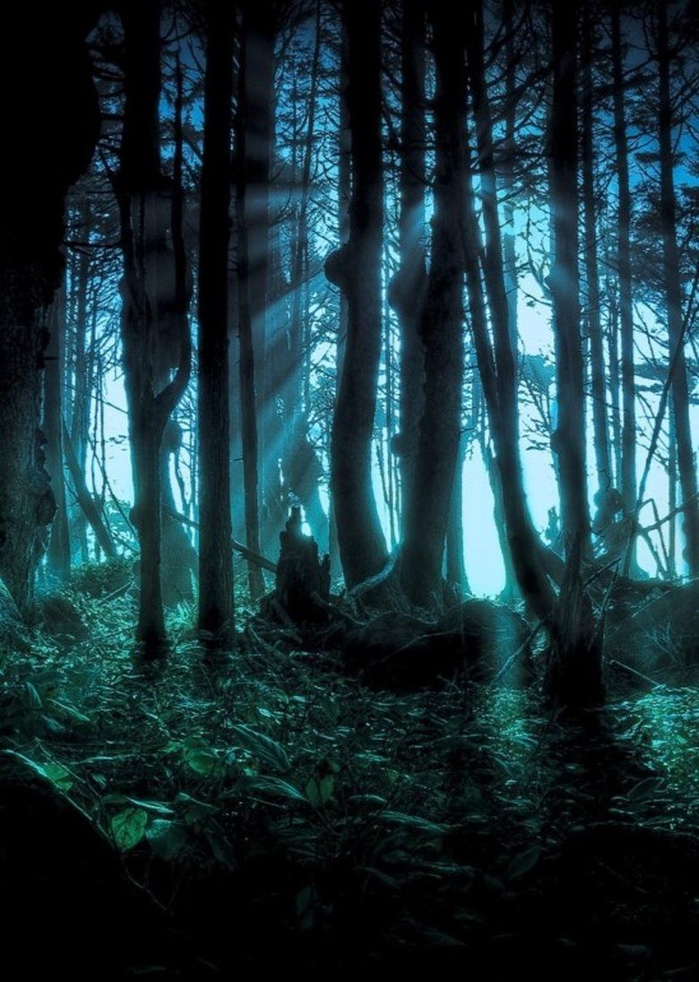 These Woods Are Haunted S03