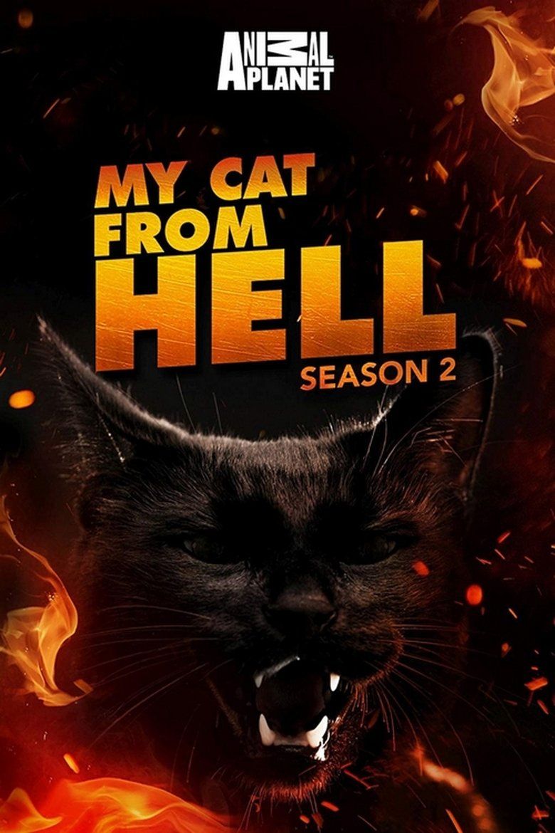 My Cat From Hell S02