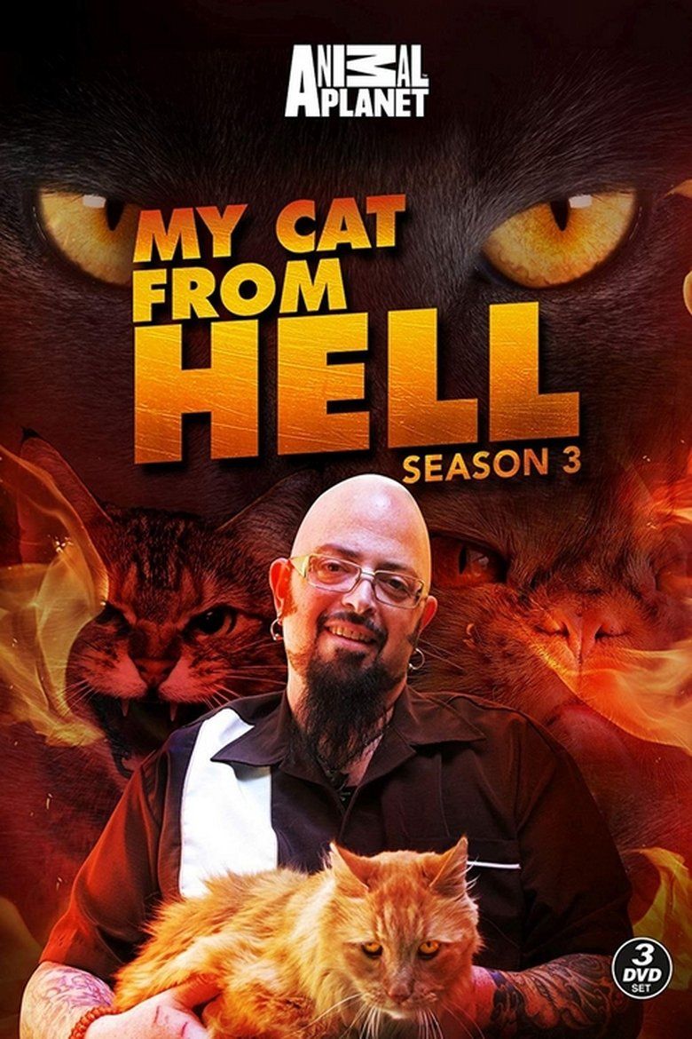 My Cat From Hell S03