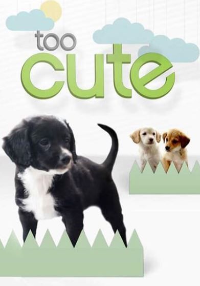 Too Cute! S03