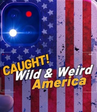 Wild & Weird America S01