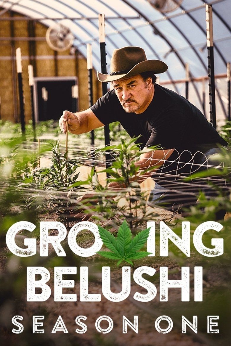Growing Belushi S01
