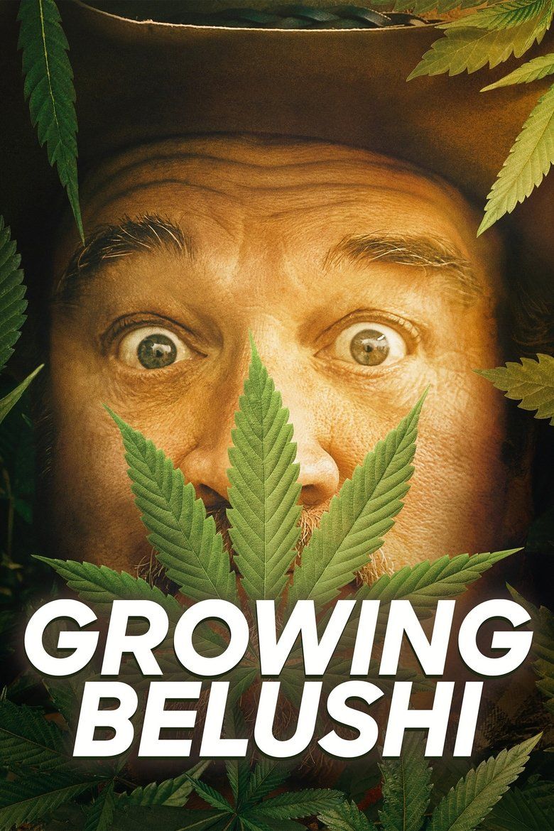 Growing Belushi S02